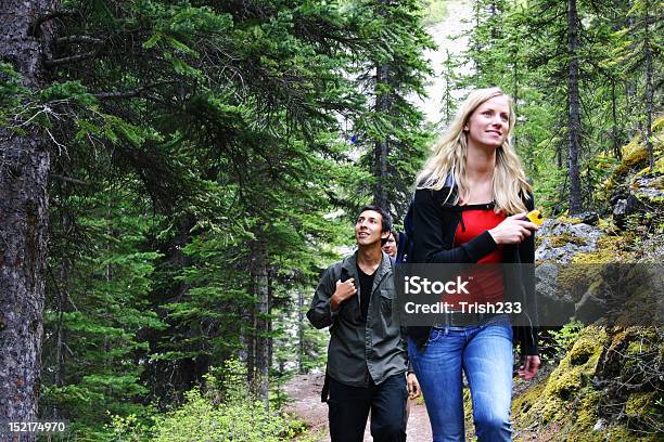 Three Hikers Stock Photo - Download Image Now - Activity, Adult, Adventure