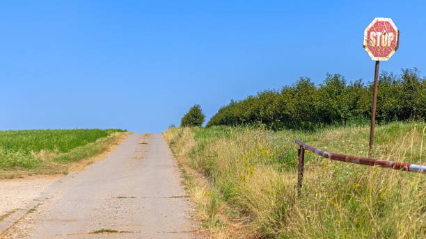 istock Rural Road Vojvodina 1521759263