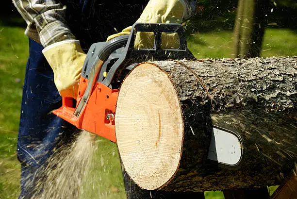 The chainsaw cutting the log of wood