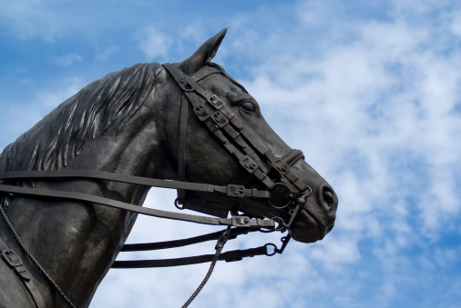 A bronze horse head Sculpture against a cloudy blue sky.