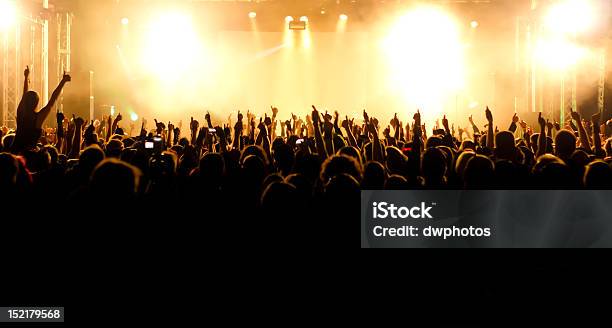 Wide Angle Shot Of Concert Crowd Stock Photo - Download Image Now - Excitement, In Silhouette, Vitality