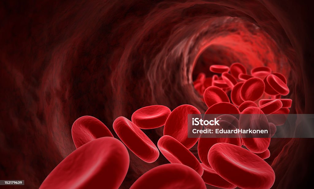 Circolazione del sangue - Foto stock royalty-free di Arteria umana