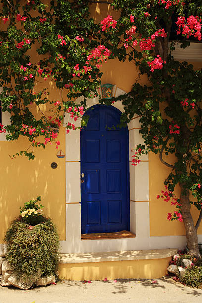 istock Bougainvillea growing around the door 152179994