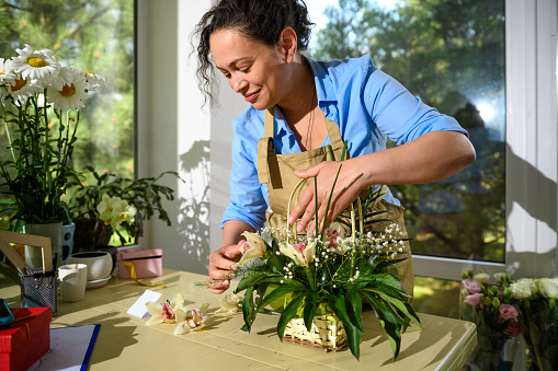 Floral artist creates flower arrangements, working in floristry studio. Professional florist arranging beautiful flower composition with orchid in wicker basket. Small business. Creative hobby. People