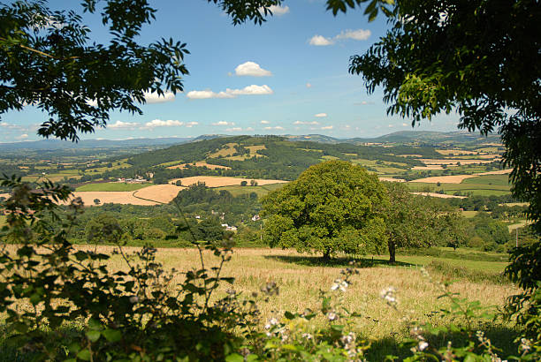 Rural England stock photo