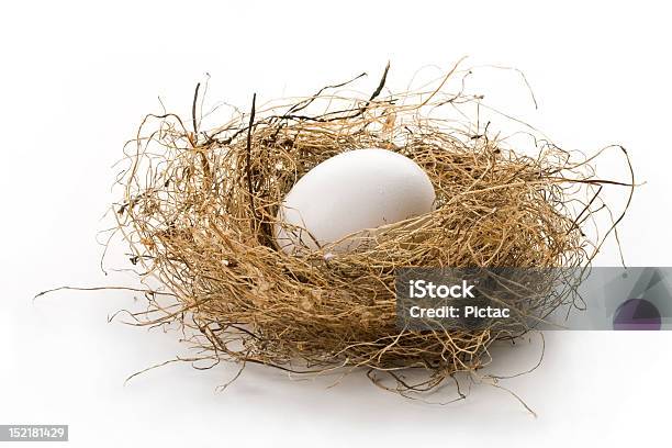 巣の中の卵 - アイデアのストックフォトや画像を多数ご用意 - アイデア, カットアウト, コンセプト