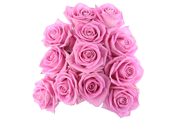 istock Bouquet of pink roses over white 152181879