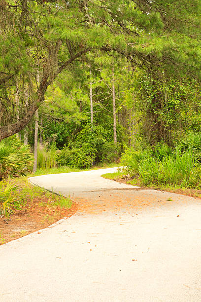 istock Paved Trail Through Woods In Florida 152182253
