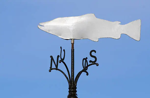 funny weathervane with a fish