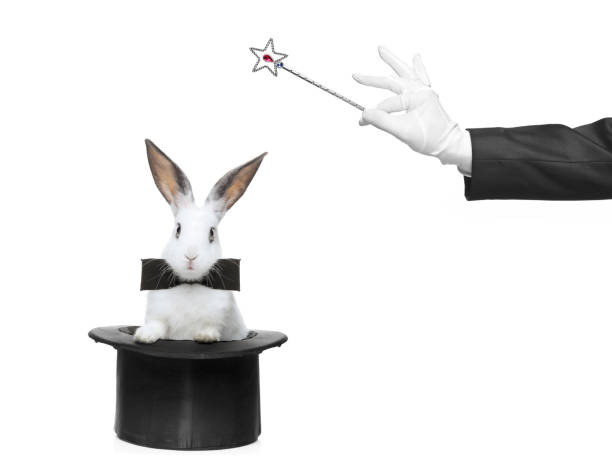 istock Rabbit in a top hat and bow tie, the magician has wand 152182618