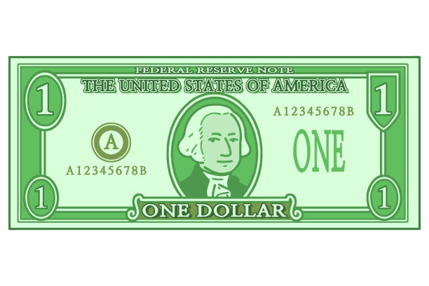 US one dollar bill. Vector illustration. currency us paper currency dollar one dollar bill stock illustrations