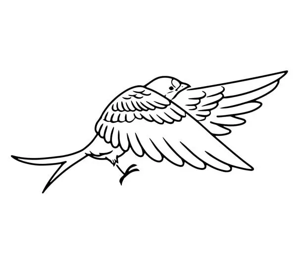 Vector illustration of Hand-drawn monochrome illustration of a flying swallow
