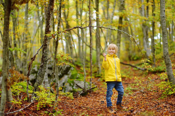 istock Elementary school boy walks forest in Lovcen National Park, Montenegro on an autumn day. An inquisitive boy exploring nature. Tourism and travel for family with kids. 1521918949