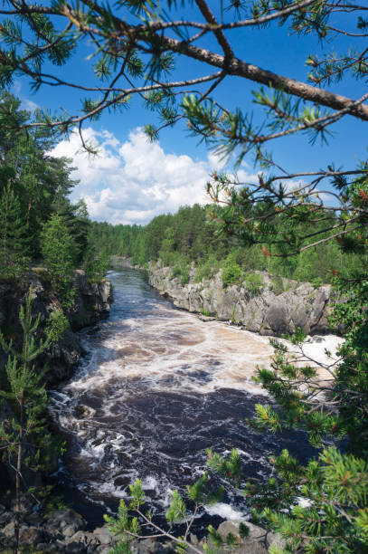 istock a river with a strong current in the forest in summer. Karelia, Russia 1521961351