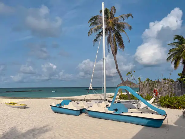 Pedal-boats and other boats on a tropical beach.