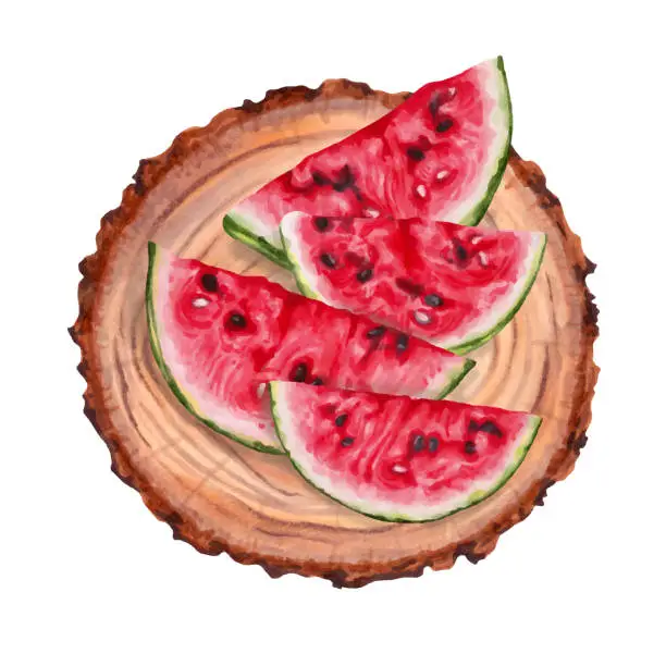 Vector illustration of Composition with pieces of watermelon and a wooden stump. View from above. Collection of fruits.National Watermelon Day.August 3.