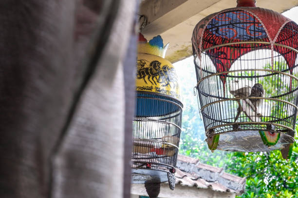 istock Two birdcages visible through the bedroom window. 1522108830