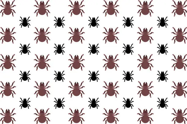 Vector illustration of Flat Tarantula Spider Pattern Background