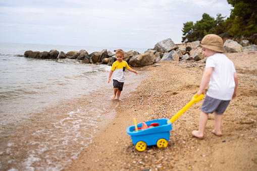 Two little brothers playing on the beach.