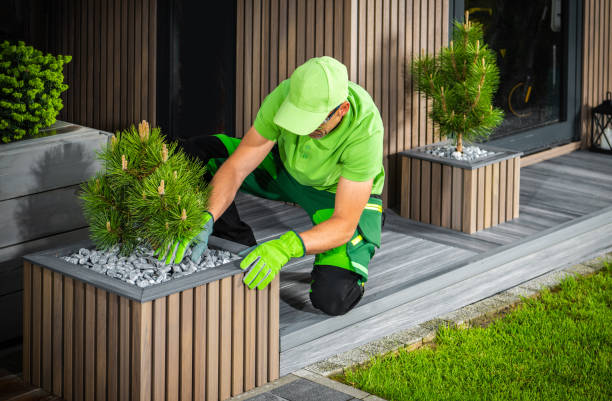 istock Building Modern Elegant Backyard Garden Decorated with Pine Trees. 1522203512