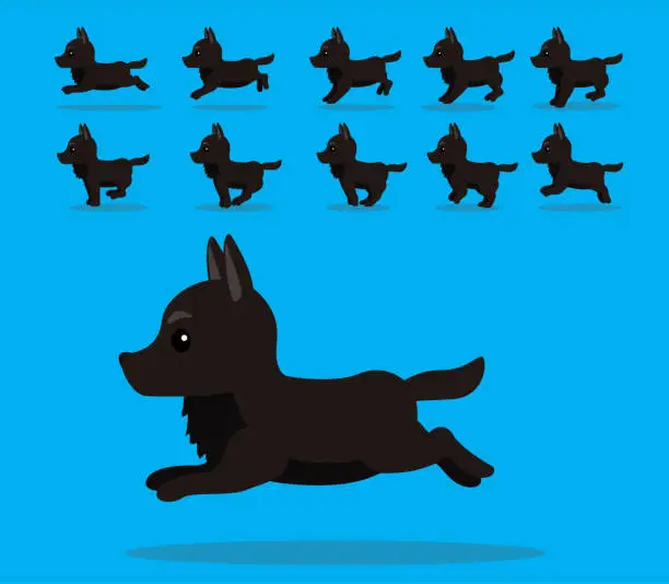 Vector illustration of Animal Animation Sequence Dog Belgian Shepherd Cartoon Vector