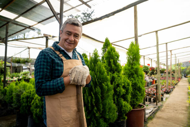 istock Happy mature man working at a garden center 1522207393