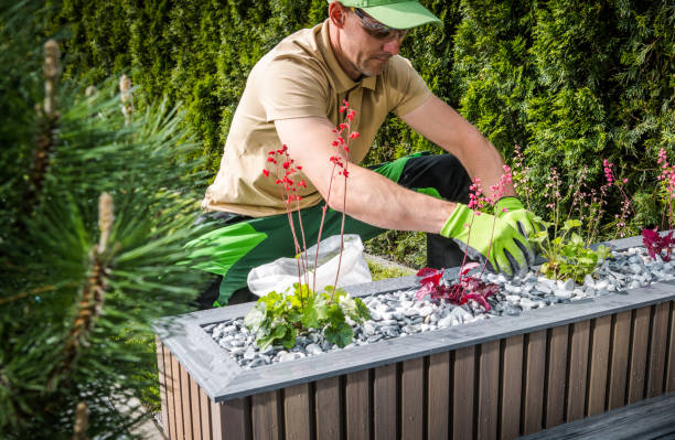 istock Professional Landscaper Arranging Modern Planters Design 1522207403