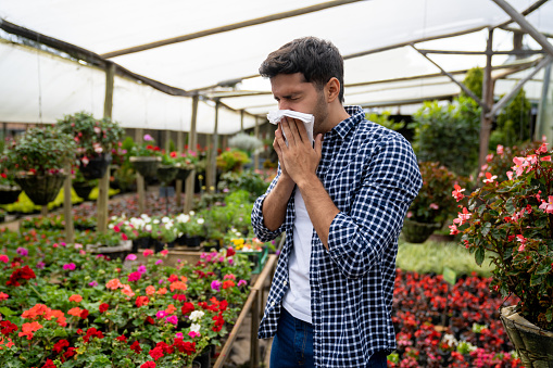 Latin American man struggling with hay fever while shopping for plants at a garden center