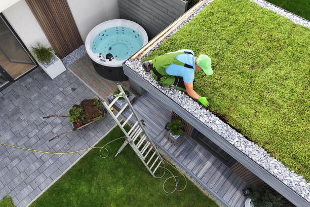 Professional Landscaper Installing Green Roof on Modern Garden Shed Top View of Professional Gardener Building Green Roof on Modern Garden Shed at Residential Backyard. Landscaping Theme. garden feature stock pictures, royalty-free photos & images