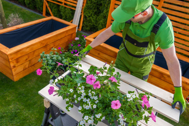 istock Gardener Building Planters for Ornamental Flowers 1522213393