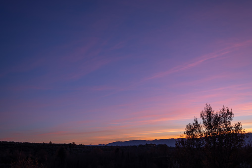 Sun setting over hills with a vineyard in the foreground.