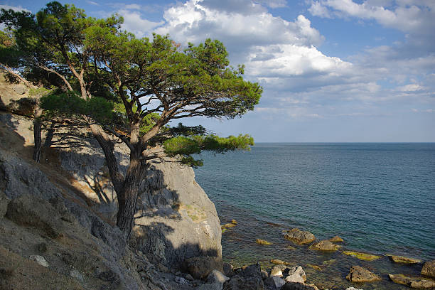 This photo was shot in Crimea, near Sudak