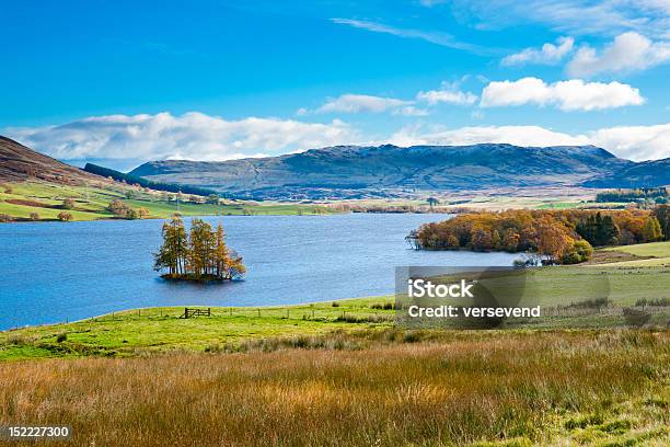 Crannog Su Loch Freuchie - Fotografie stock e altre immagini di Albero - Albero, Ambientazione esterna, Autunno