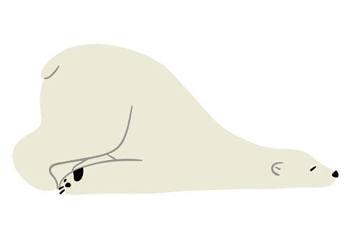 Polar Bear Single 24, vector illustration