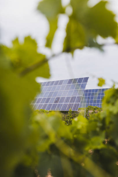istock Solar panels and green leaves. Renewable energy concept. 1522458859