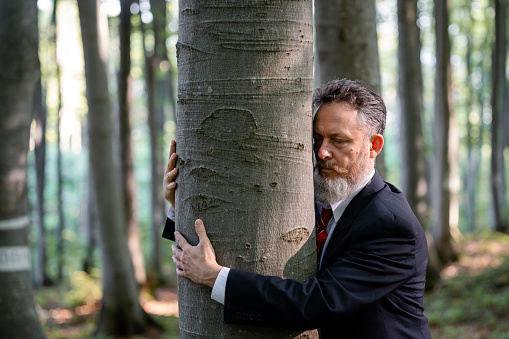 Portrait of stressed mature businessman relaxing in nature with tree hugging therapy