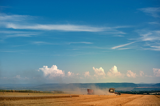Combine harvesting wheat in the agricultural field