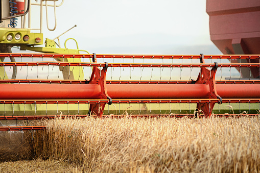 Close-up of combine harvester harvesting wheat in the wheat field
