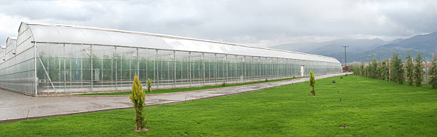 estufa - homegrown produce environment greenhouse futuristic - fotografias e filmes do acervo