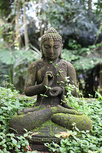 Free Stock Photo of Large stone Buddha statue surrounded by lush ...