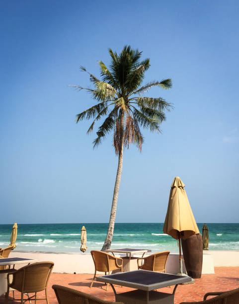 Sea view restaurant with the sand beach at sunny day.