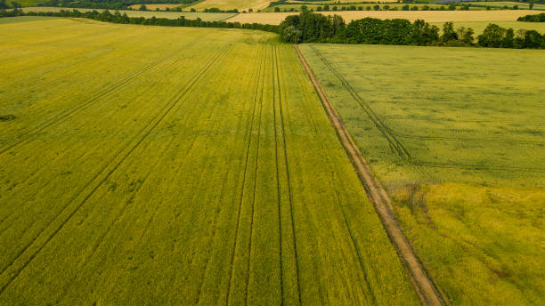 istock Agricultural part in the Czech Republic 1522664450