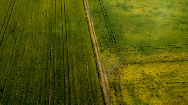 istock Agricultural part in the Czech Republic 1522664488