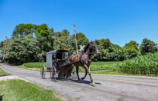 Gap, USA - November 11, 2023. Amish farm in Autumn, Lancaster County, Pennsylvania, USA