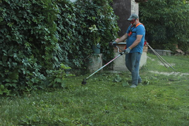 istock a man in old work clothes and protective glasses mows green grass, lawn in his yard with a petrol scythe 1522880361