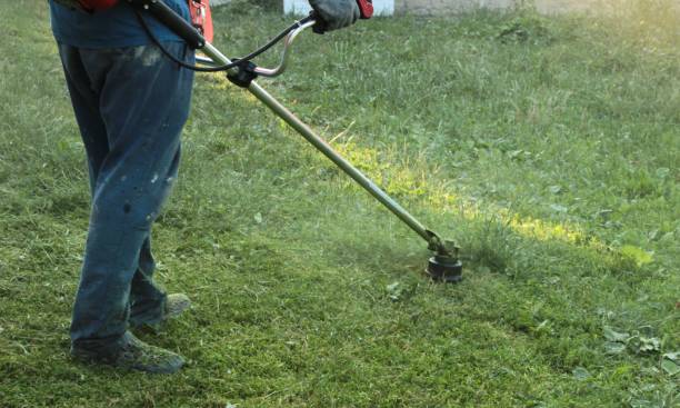 istock a man in old work clothes and protective glasses mows green grass, lawn in his yard with a petrol scythe 1522880476