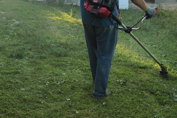 istock a man in old work clothes and protective glasses mows green grass, lawn in his yard with a petrol scythe 1522880875