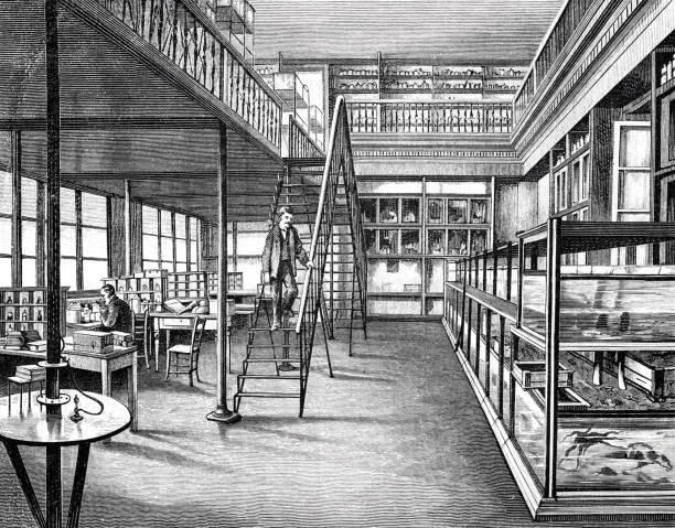 istock Naples, zoological station, laboratory in the basement 1522974950