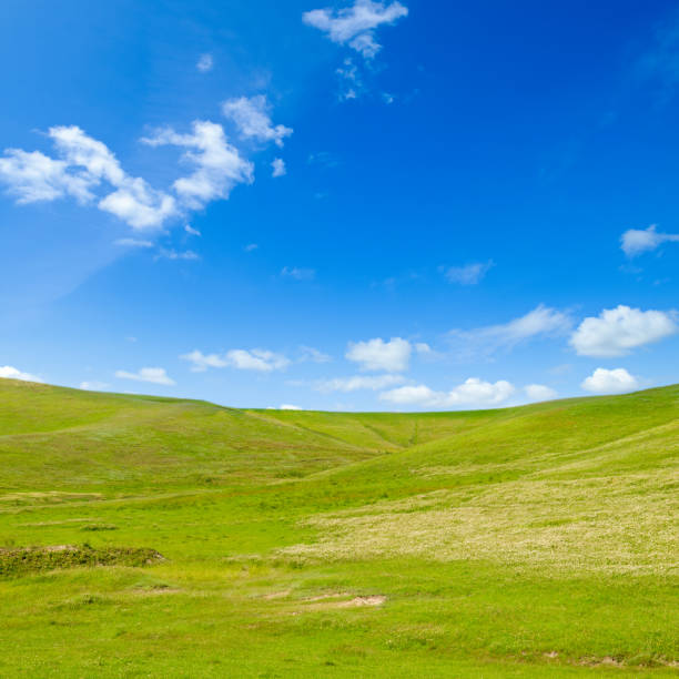 istock Rolling green field, meadow, pasture and blue sky. 1523008135
