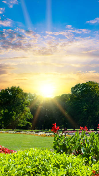 istock A beautiful summer garden and a bright sunrise. Vertical photo. 1523021054